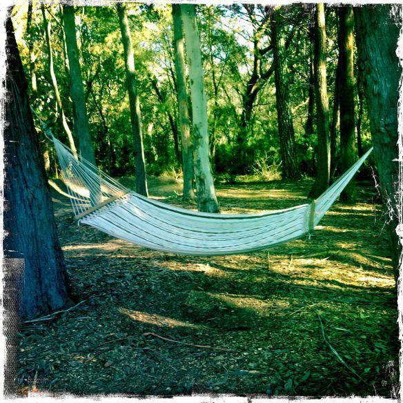 Twin Falls Bush Cottages Fitzroy Falls Room photo