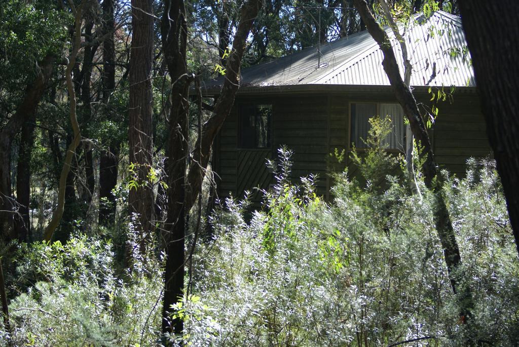 Twin Falls Bush Cottages Fitzroy Falls Exterior photo